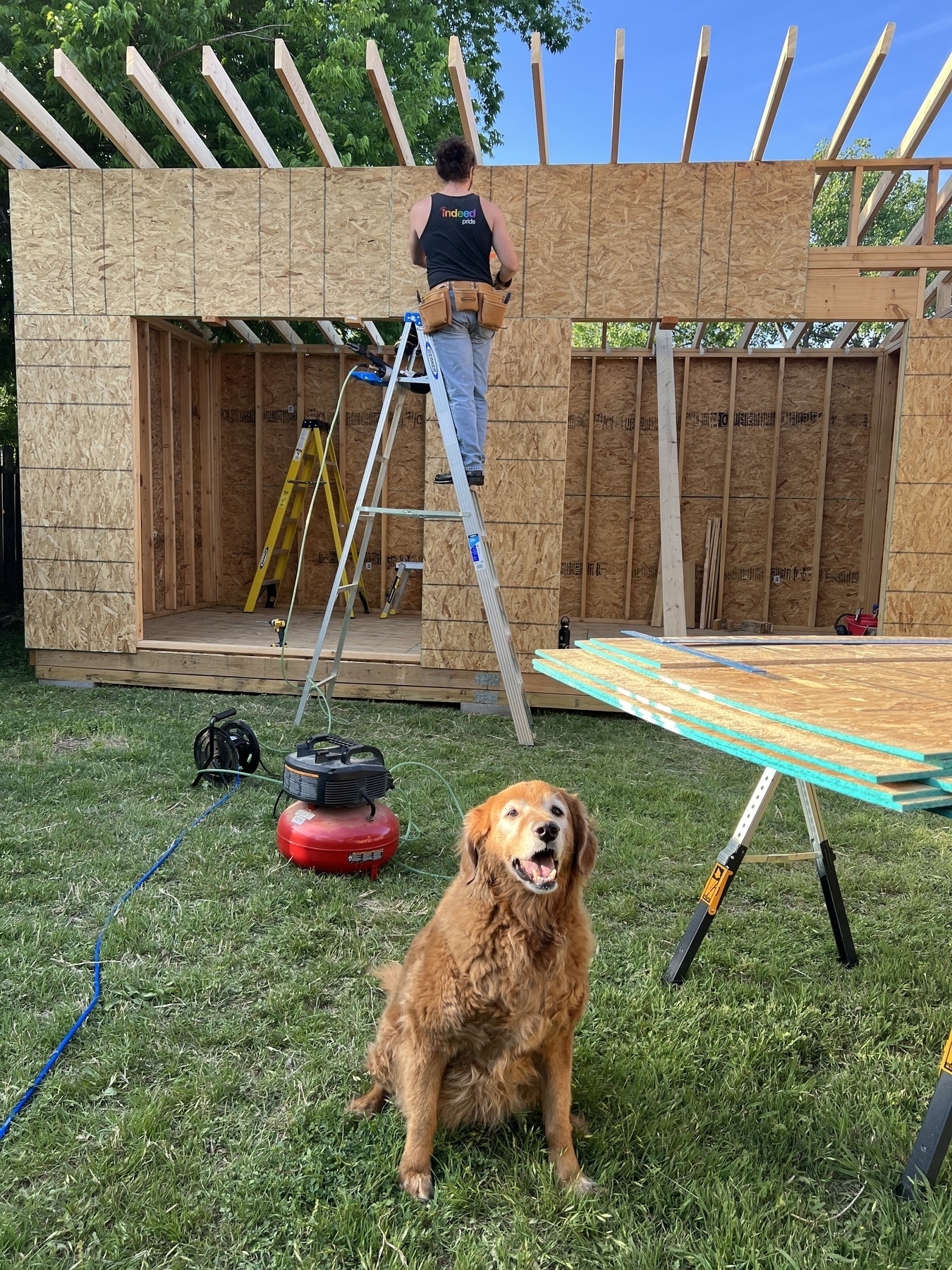 Bones supervises the job site while Casey stands on a ladder working in the background