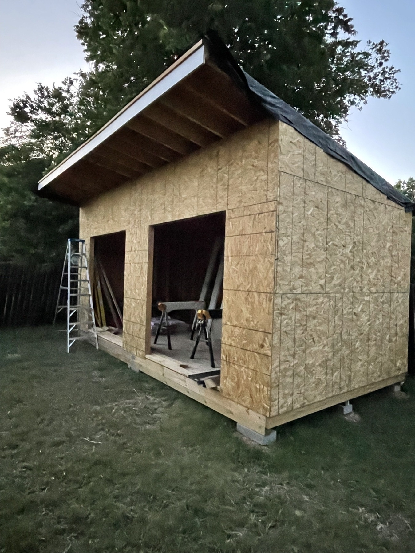 In progress photo of the shed